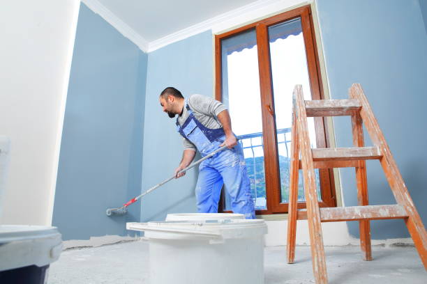 Best Basement Mold Removal  in Gunter, TX