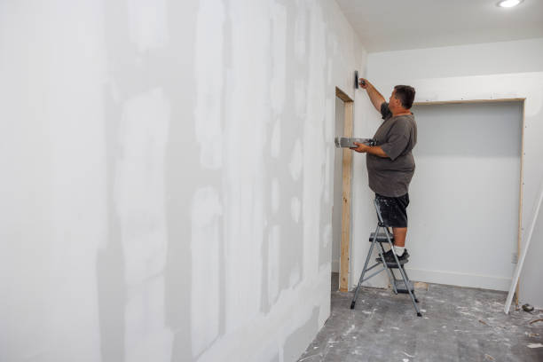  Gunter, TX Mold Removal Pros